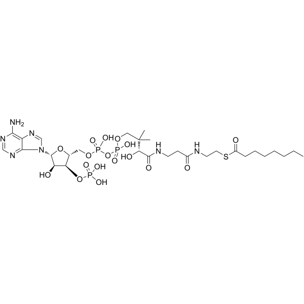 Octanoyl Coenzyme A 1264-52-4